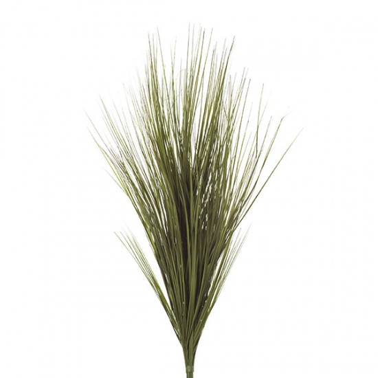 MAZZO ERBA CIPOLLINA CM 84