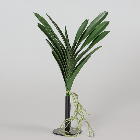 FOGLIA ORCHIDEA CM 53
