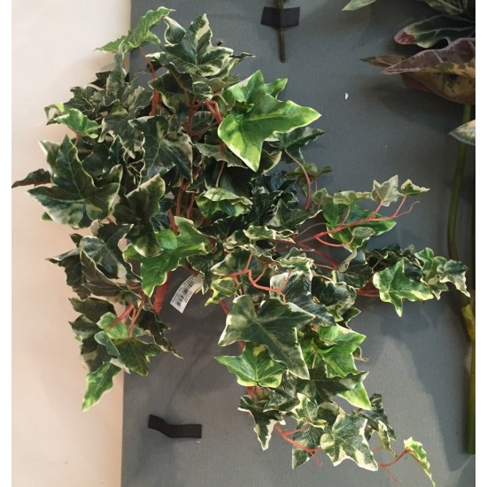 BUSH MIX EDERA CM.50