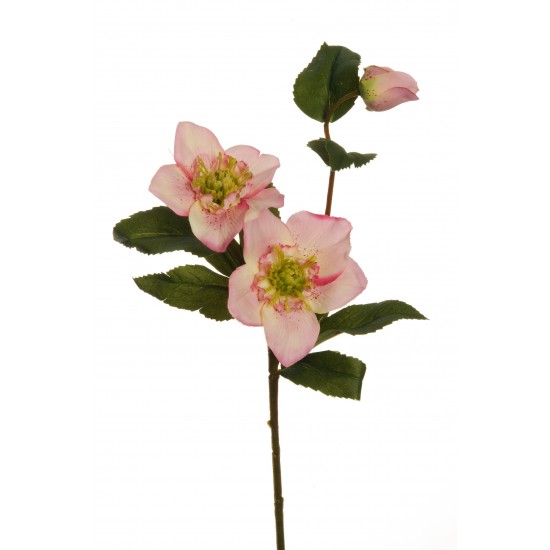 CHRISTMAS ROSE SPRAY X3 57CM