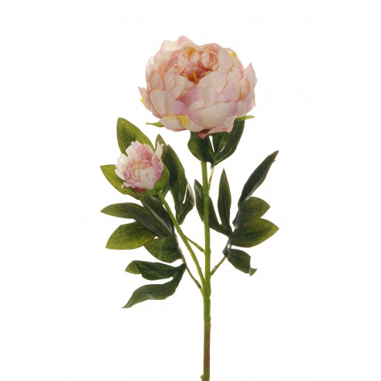 RAMO PEONIA 66 CM