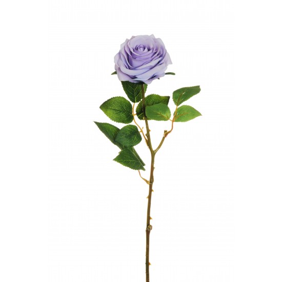 ROSA ECUADOR 65CM