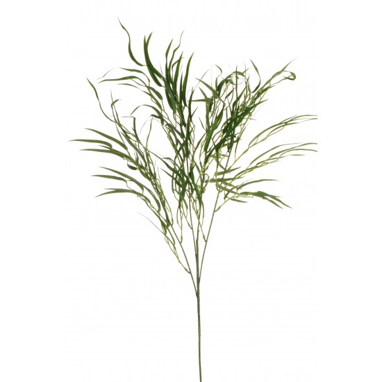 RAMO GREVILLEA X4 110 CM