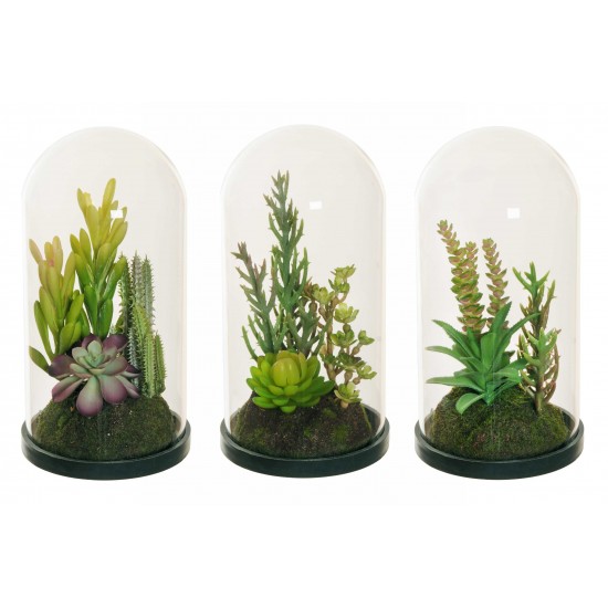PIANTA GRASSA 25CM GLASS