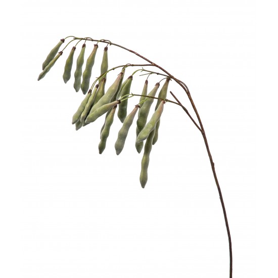 RAMO PISELLO 125CM