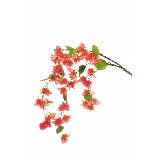 CADENTE BOUGANVILLE 120CM