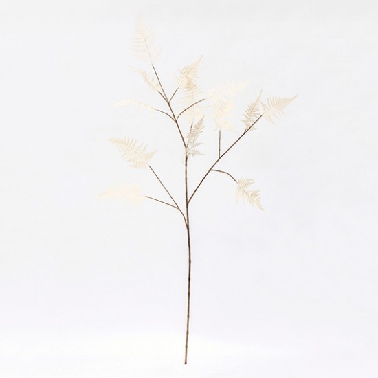 RAMO ASPARAGO 137 CM