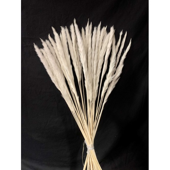 MAZZO MINI PAMPAS