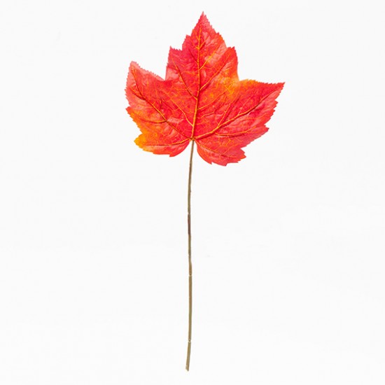FOGLIA ACERO PICK 37 CM
