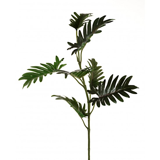 PAMO SELLUM 83 CM
