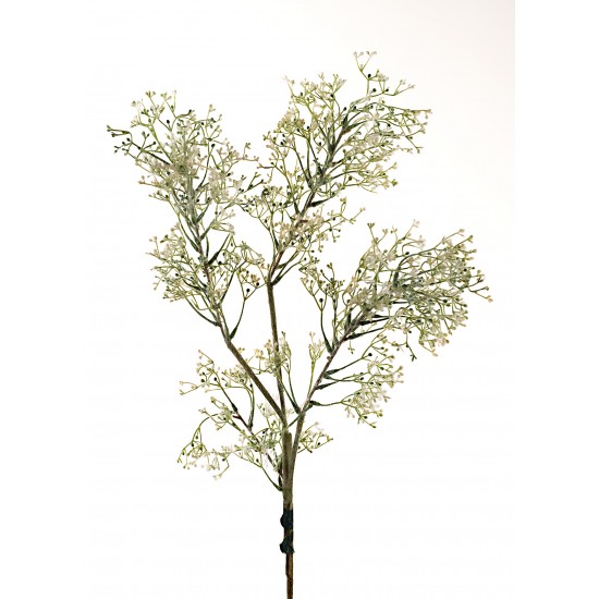 RAMO GYPSY GRASS