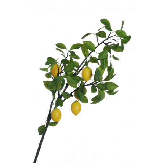 RAMO LIMONE 120 CM