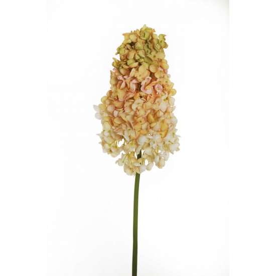 RAMO ORTENSIA PANICULATA 90CM