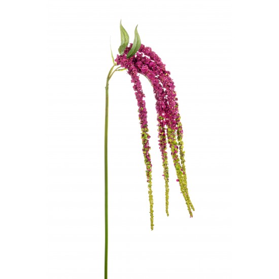 AMARANTHUS X5 96CM