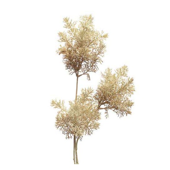 RAMO LICHENE  92 CM