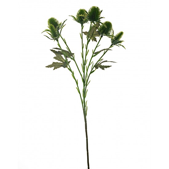 RAMO ERYNGIUM 56CM