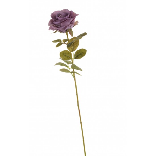 RAMO ROSA