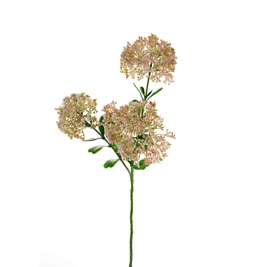RAMO BLOOM SEDUM 58CM