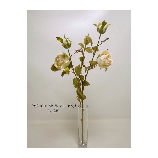 RAMO ROSE 63.5CM