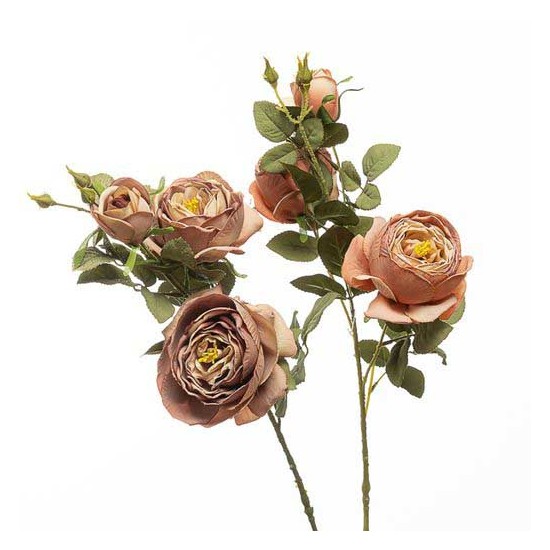 RAMO ROSE CABB. 75CM