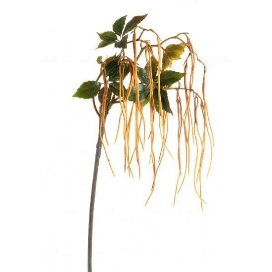 RAMO LONG BEANS 83CM
