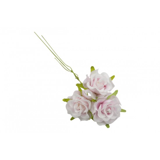 ROSELLINA