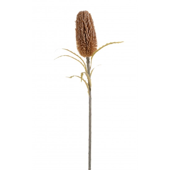 RAMO PROTEA 71CM