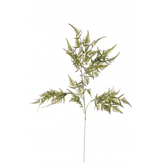 TRALCIO FELCE 90CM