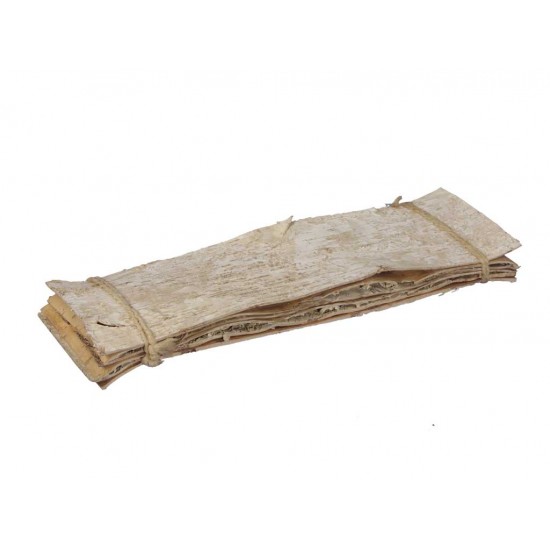 CORTECCIA BETULLA X6 48X15CM