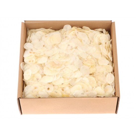 FOGLIE LUNARIA BOX