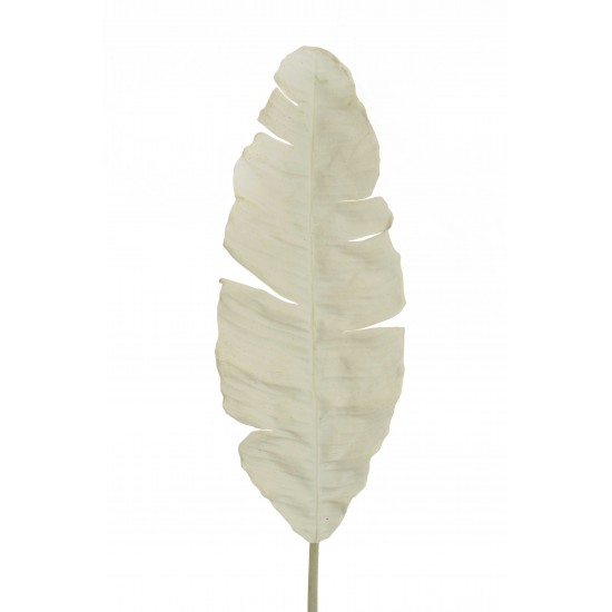 FOGLIA BANANA ESSICCATA 67X26 X115CM