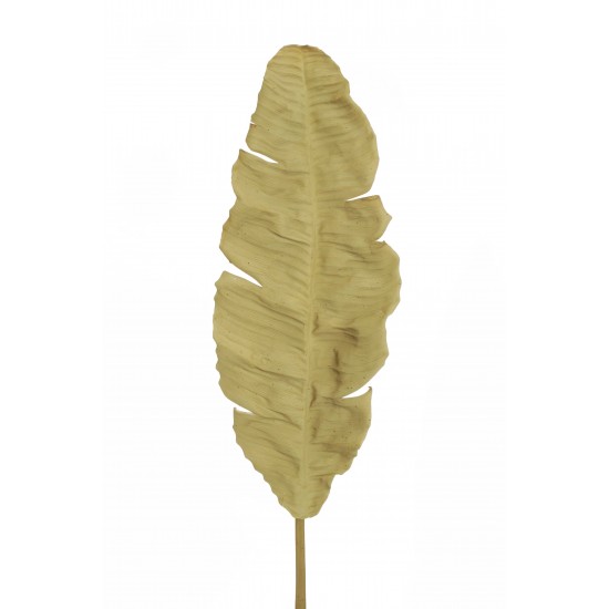 FOGLIA BANANA ESSICCATA 67X26 X115CM