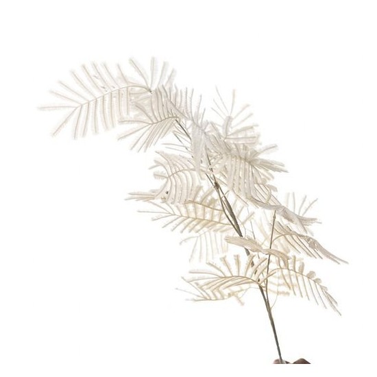 RAMO FOGLIA MIMOSA CM100